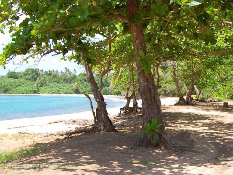 Calibishie Cove Hotel Exterior photo