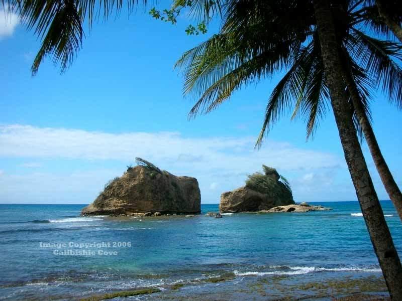 Calibishie Cove Hotel Exterior photo