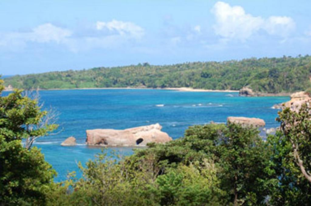Calibishie Cove Hotel Exterior photo